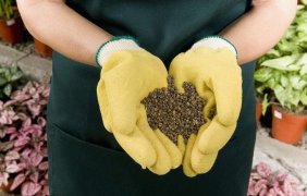 有機肥如何選擇？