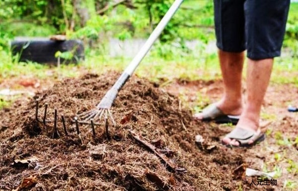 RW生物有機(jī)肥功能菌劑功能與特點