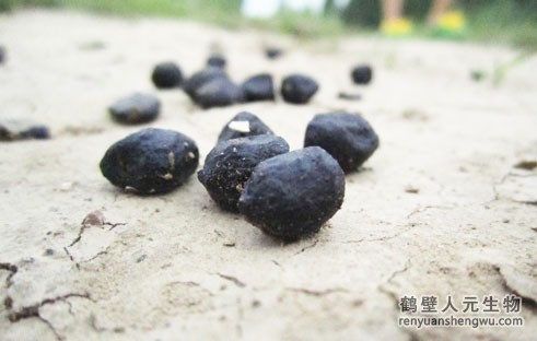 有機肥是什么，有機肥的原材料來源于哪里