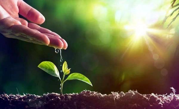 在購(gòu)買有機(jī)肥應(yīng)注意哪些？