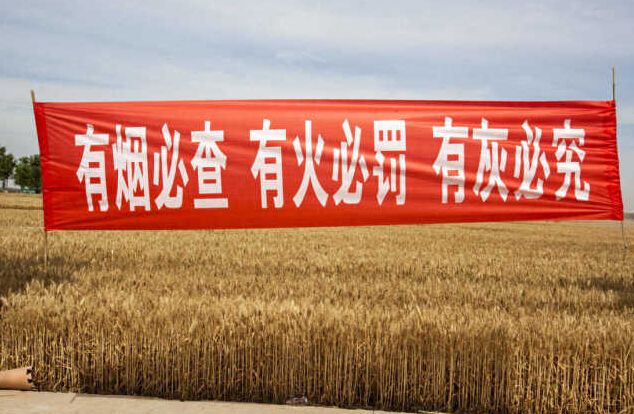 黑龍江秸稈利用，小秸稈變成大生意