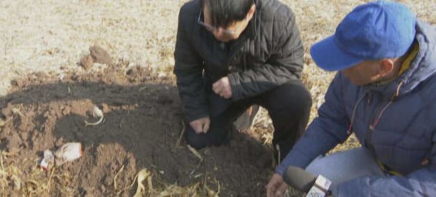 黑龍江秸稈利用，小秸稈變成大生意