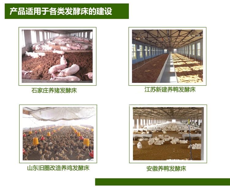 專家解答：發(fā)酵床養(yǎng)豬與水泥地養(yǎng)豬哪個省工？