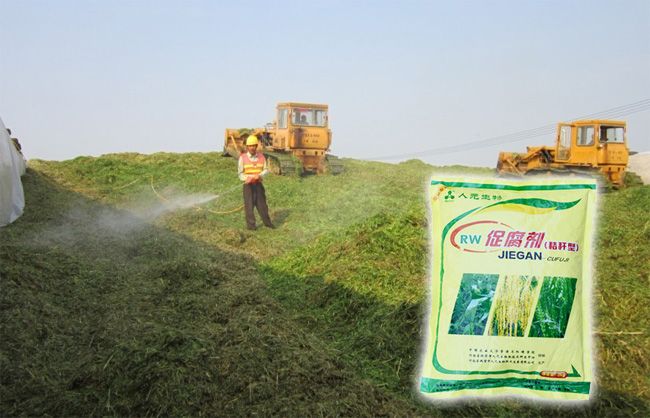 秸稈如何利用最掙錢？