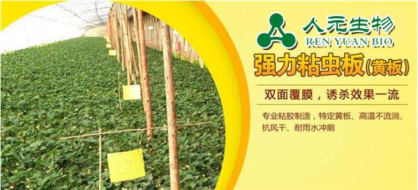 粘蟲(chóng)板-誘蟲(chóng)板-捕蟲(chóng)板-殺蟲(chóng)板-環(huán)保粘蟲(chóng)黃板