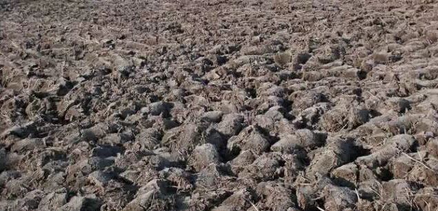 微生物菌劑如何讓土壤恢復(fù)健康！