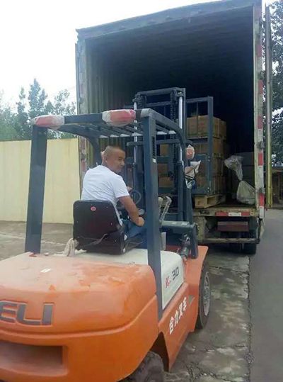 誘蟲(chóng)板出貨，發(fā)貨現(xiàn)場(chǎng)圖5