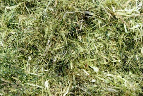 秸桿有機(jī)肥生產(chǎn)技術(shù) _秸桿發(fā)酵有機(jī)肥