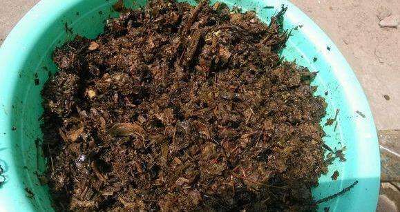 如何合理施用有機(jī)肥_施用有機(jī)肥優(yōu)勢(shì) 如何合理施用有機(jī)肥_施用有機(jī)肥優(yōu)勢(shì)