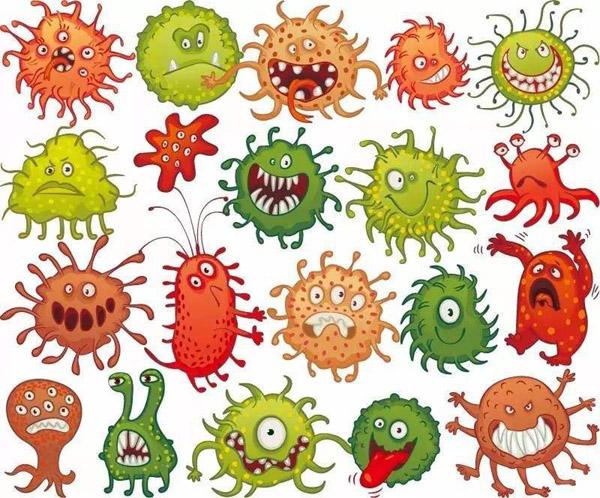 枯草芽孢桿菌_神奇的【枯草芽孢桿菌】菌肥都離不開(kāi)你！