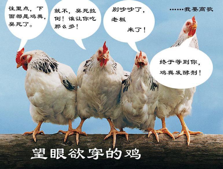 堆肥氣味中常見的情況 堆肥氣味中常見的情況