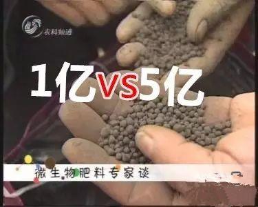 生物菌肥_菌肥_到底是5億好還是1億的好！