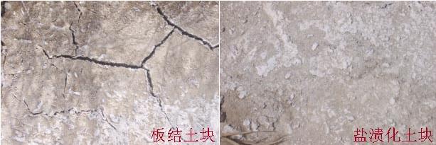 【關(guān)注】農(nóng)業(yè)部為什么大力推廣有機(jī)肥：有機(jī)肥的長(zhǎng)期不足、缺失破壞了土壤結(jié)構(gòu)