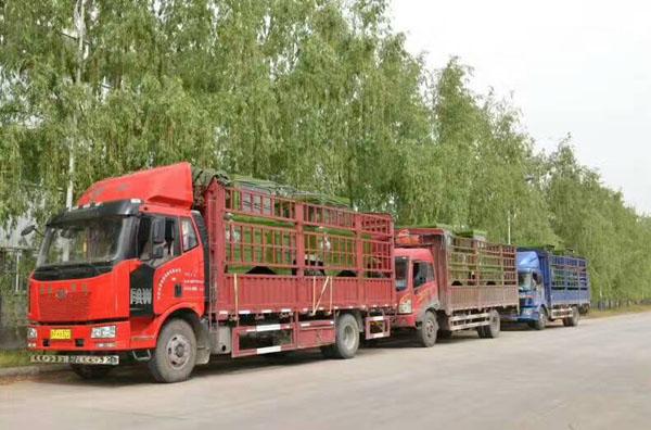 RYFD2000型輪式翻堆機山東批量發(fā)貨裝車完畢