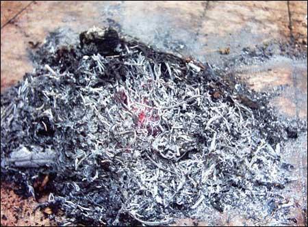 各種常用有機堆肥_農(nóng)家肥施用時機與方法 各種常用有機堆肥_農(nóng)家肥施用時機與方法