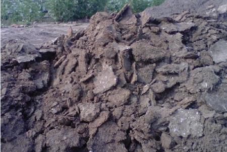 豬糞必須要發(fā)酵腐熟才可以用嗎？