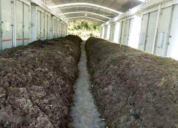 有機肥廠建設中如何選購有機肥設備與有機肥發(fā)酵劑