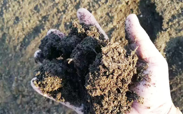 有機(jī)肥和化肥比哪個(gè)好？