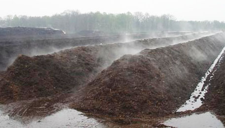 有機(jī)肥和化肥比哪個(gè)好？