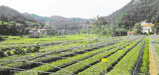 您買的肥料包裝標(biāo)識(shí)符合國(guó)家標(biāo)準(zhǔn)嗎？