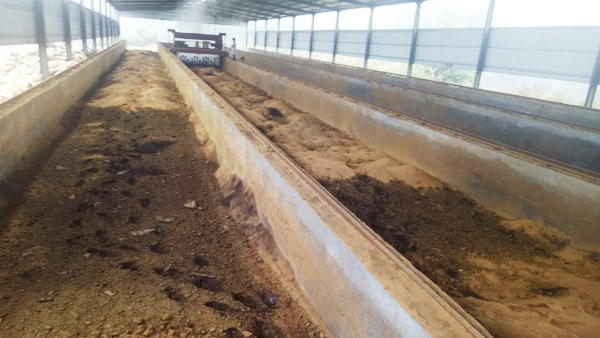 如何選擇糞便有機肥生產線？