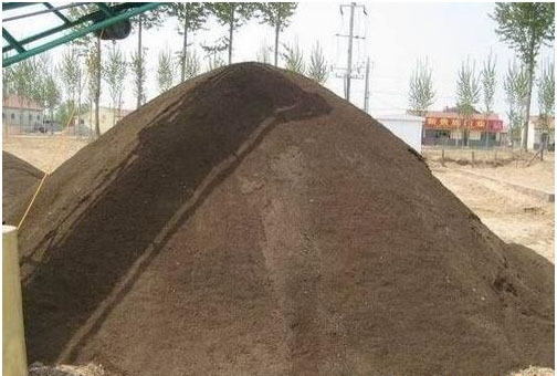 草莓種植施用什么肥料好，如何施肥？