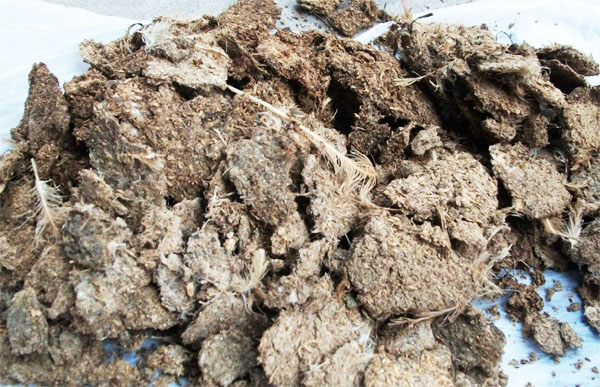 小型雞糞烘干機廠家直銷及后期保養(yǎng)