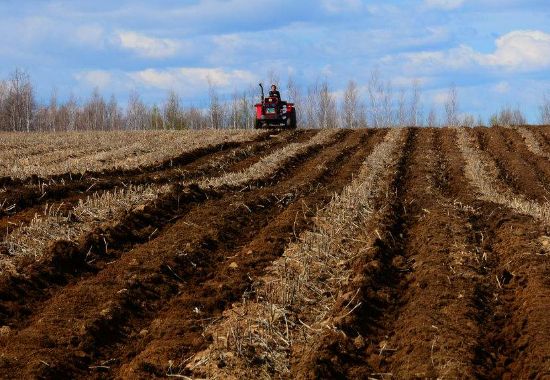 施用有機(jī)肥有哪些作用？