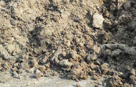 鮮雞糞如何制作生物有機(jī)肥？