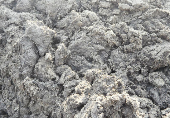 鮮雞糞如何制作生物有機(jī)肥？