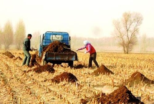 我國(guó)豬糞利用方面未來(lái)發(fā)展趨勢(shì)怎樣？