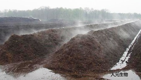 糞肥利用是豬糞處理常用方案，卻很難推廣應(yīng)用，原因是什么？