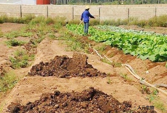 固體糞肥利用方式適用于哪些養(yǎng)豬場？