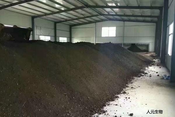 在施用菌肥時有哪些常見的預防措施？