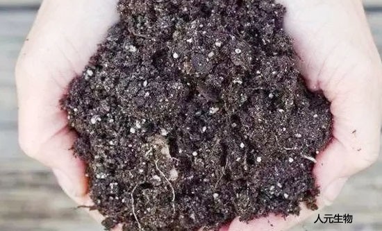 使用土壤調(diào)理劑時(shí)需要注意哪些？