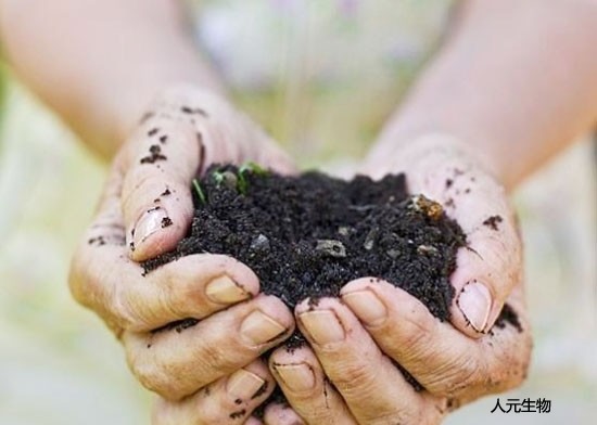 使用土壤調(diào)理劑時需要注意哪些？