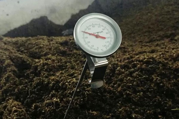 月季到了冬季要不要施肥？