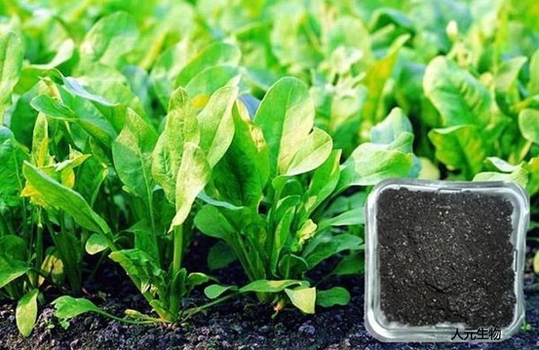 生物有機(jī)肥料好用嗎，都有哪些作用？