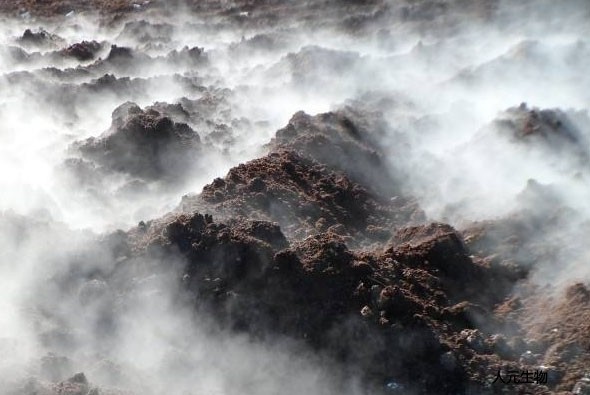 有機(jī)肥應(yīng)該發(fā)酵多少天，需要經(jīng)歷幾個(gè)階段？