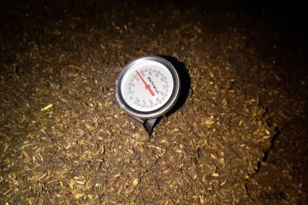 有機(jī)肥應(yīng)該發(fā)酵多少天，需要經(jīng)歷幾個(gè)階段？