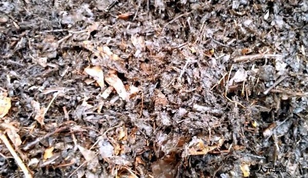 適合制作有機肥的原料有哪些，怎么劃分有機肥原料種類的？