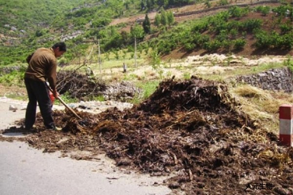有機肥發(fā)酵到什么程度算腐熟，評判的標準又是什么呢？