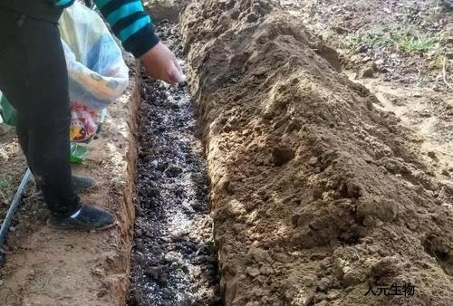 有機肥發(fā)酵到什么程度算腐熟，評判的標準又是什么呢？