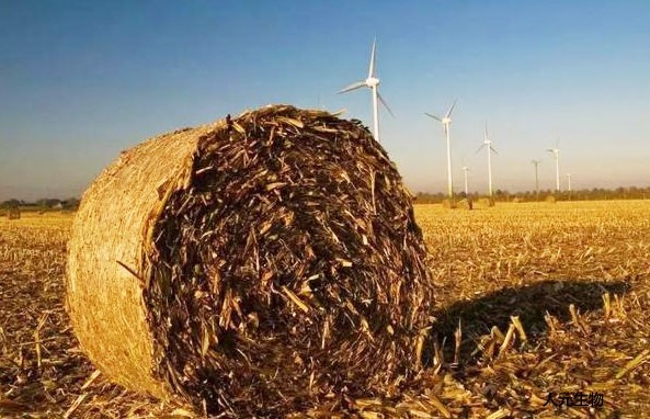 適合制作有機肥的原料有哪些，怎么劃分有機肥原料種類的？