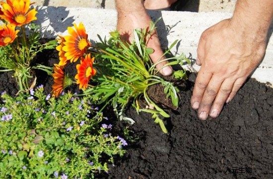 各種不同原料生產(chǎn)的有機(jī)肥哪個(gè)效果好？