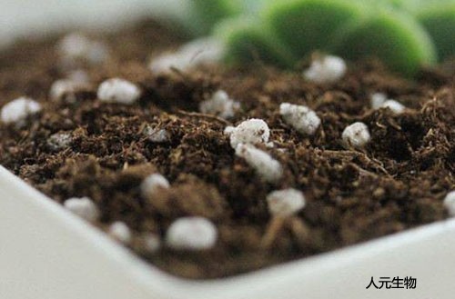 有機(jī)肥生產(chǎn)廠家教你如何鑒別有機(jī)肥的品質(zhì)？