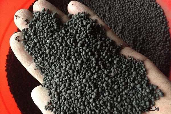 價(jià)格懸殊的三類肥料：有機(jī)肥、生物有機(jī)肥、生物菌肥之間有哪些區(qū)別？