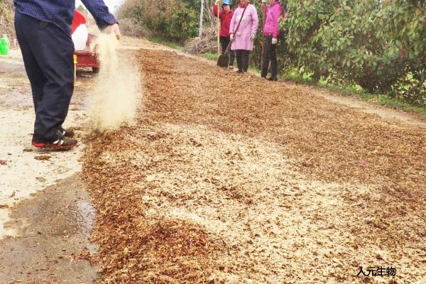 優(yōu)質(zhì)秸稈腐熟劑哪里找？