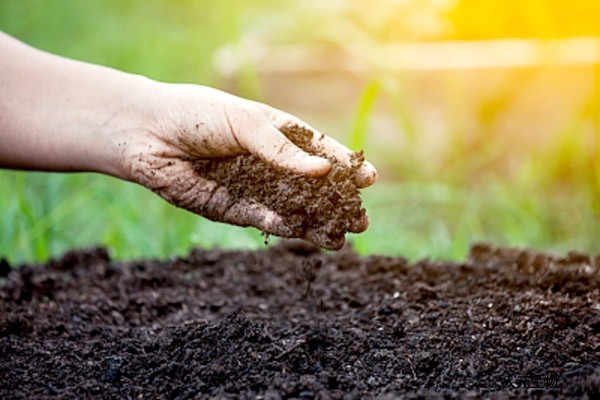 雞糞好用，發(fā)酵過程太難了，雞糞發(fā)酵方法選對(duì)了發(fā)酵有機(jī)肥將不是問題