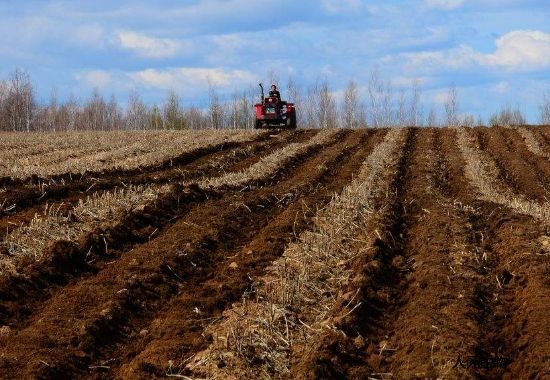 化肥和有機(jī)肥搭配使用有哪些好處？